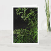 Carte Portrait de plante de jasmin la nuit (Devant)