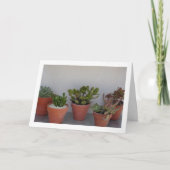 Carte Portrait de plantes grasses (Devant)