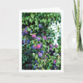 Carte Portrait de prune violette (Devant)