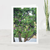 Carte Portrait de prune violette (Devant)