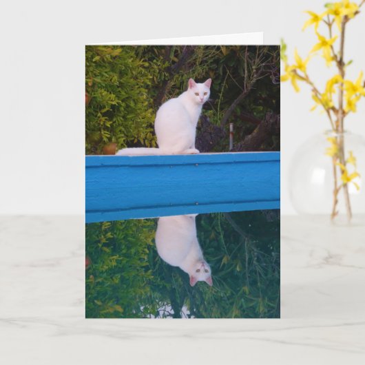 Carte Portrait de réflexion de chat blanc (Fleur jaune)