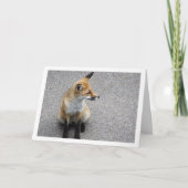 Carte Portrait de renardeau dans la rue (Devant)