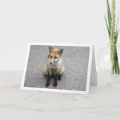 Carte Portrait de renardeau dans la rue (Devant)