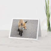 Carte Portrait de renardeau dans la rue (Devant)