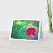 Carte Portrait de rose du jardin rouge (Devant)