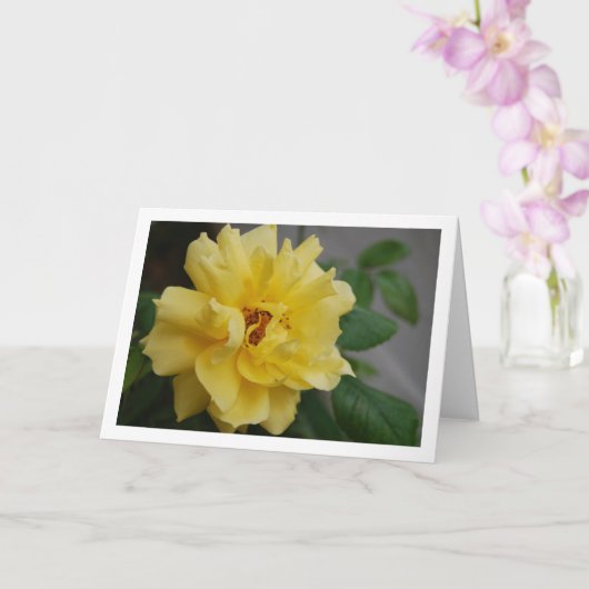 Carte Portrait de rose jaune (Orchidée)