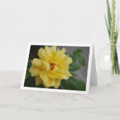 Carte Portrait de rose jaune (Devant)