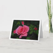 Carte Portrait de rose rose et boutons de rose (Devant)