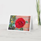 Carte Portrait de Rose Rouge (Devant)