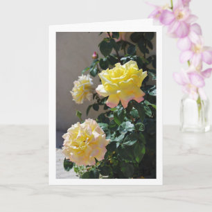 Carte Portrait de roses jaunes et roses