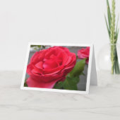 Carte Portrait de roses rouges en gros plan (Devant)