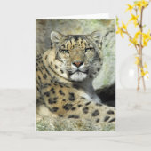 Carte portrait de Snow (Fleur jaune)