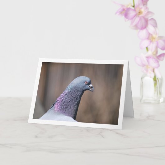 Carte Portrait de tête de pigeon (Orchidée)