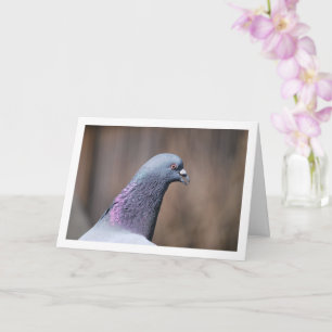 Carte Portrait de tête de pigeon
