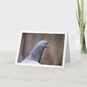 Carte Portrait de tête de pigeon (Devant)