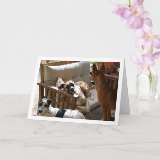 Carte Portrait de trois chiens se détendant (Orchidée)