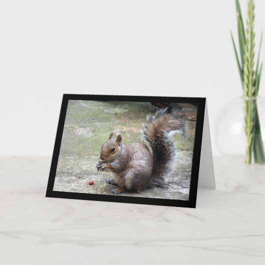 Carte Portrait d'Écureuil Gris (Devant)