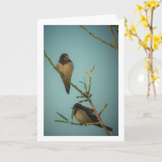 Carte Portrait d'Elégant Swallow Birds