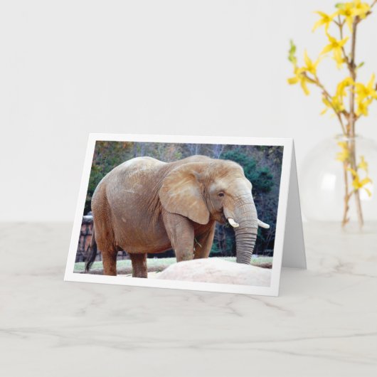 Carte Portrait d'éléphant (Fleur jaune)