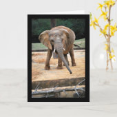 Carte Portrait d'éléphant d'Afrique (Fleur jaune)