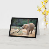 Carte Portrait d'éléphant d'Afrique dans un parc (Fleur jaune)