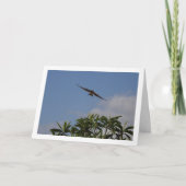 Carte Portrait d'hirondelle de la grange volante (Devant)