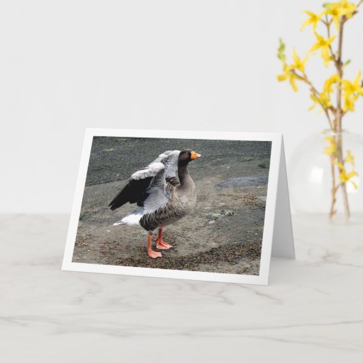 Carte Portrait d'Oiseaux (Fleur jaune)