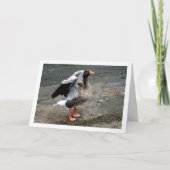 Carte Portrait d'Oiseaux (Devant)