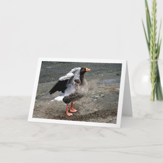 Carte Portrait d'Oiseaux (Devant)