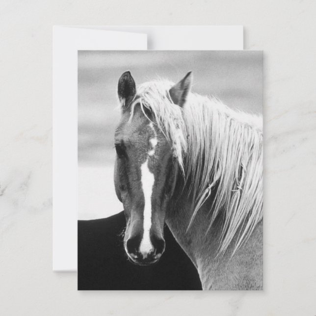 Carte Portrait du cheval BW (Devant)