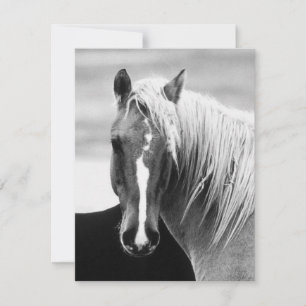 Carte Portrait du cheval BW