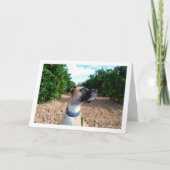 Carte Portrait du chien dans le verger (Devant)