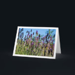 Carte Portrait du ciel bleu sauvage de Lavender<br><div class="desc">Carte de voeux Wild Lavender Blue Sky Portrait. Vous pouvez facilement customiser ce produit gratuitement si vous souhaitez ajouter du libellé ou changer la couleur du arrière - plan.</div>