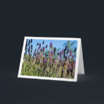 Carte Portrait du ciel bleu sauvage de Lavender<br><div class="desc">Carte de voeux Wild Lavender Blue Sky Portrait. Vous pouvez facilement customiser ce produit gratuitement si vous souhaitez ajouter du libellé ou changer la couleur du arrière - plan.</div>