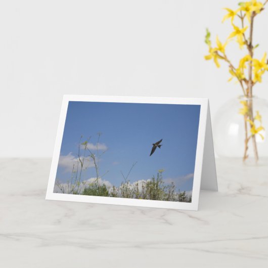 Carte Portrait du pays de l'hirondelle de grange (Fleur jaune)