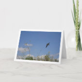 Carte Portrait du pays de l'hirondelle de grange (Devant)