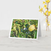 Carte Portrait du plaqueminier (Fleur jaune)