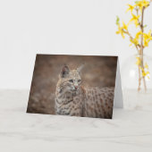 Carte Portrait d'un Bobcat (Fleur jaune)