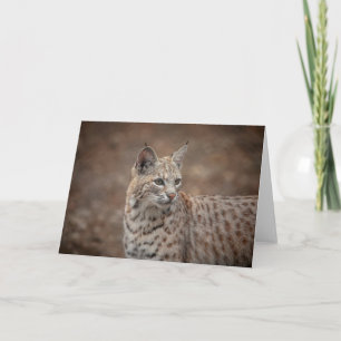 Carte Portrait d'un Bobcat