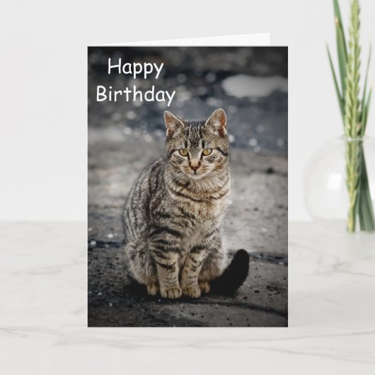 Carte Portrait d'un chat (Devant)