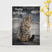Carte Portrait d'un chat (Fleur jaune)