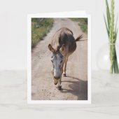 Carte Portrait d'une mule espagnole (Devant)