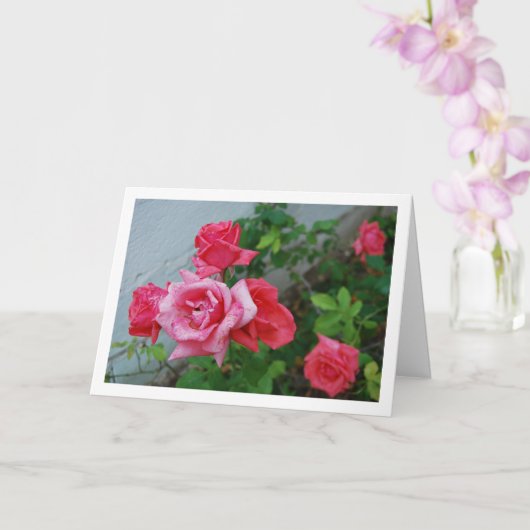 Carte Portrait floral de roses roses (Orchidée)