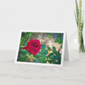 Carte Portrait floral rouge de rose (Devant)