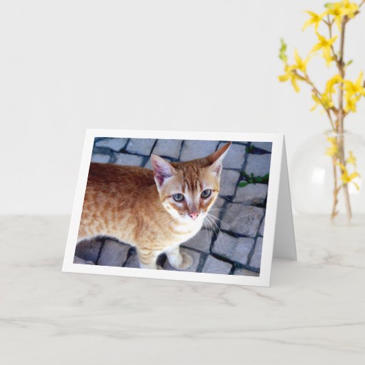 Carte Portrait Ginger Kitten (Fleur jaune)