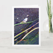 Carte Portrait gris Wagtail (Devant)