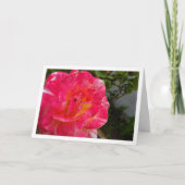 Carte Portrait gros plan de rose rose (Devant)