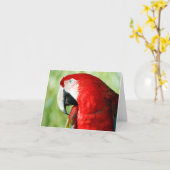 Carte Portrait Macaw (Fleur jaune)