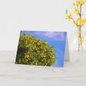 Carte Portrait Mandarin Oranges (Fleur jaune)