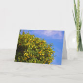 Carte Portrait Mandarin Oranges (Devant)